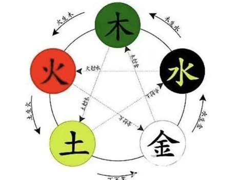 薇五行|薇字的五行是什么,薇的五行属性及吉利寓意